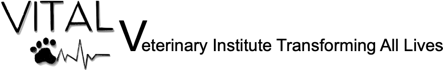 Vital%20Logo%20Black